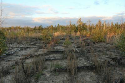 Рязанские пожары в 2010 году повысили смертность