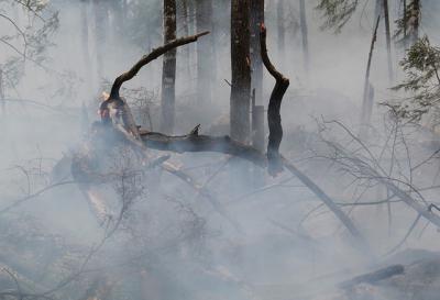 Угрозы распространения лесного пожара в Клепиковском районе нет