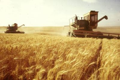 Аграриям Рязанщины перечислено около миллиарда рублей субсидий