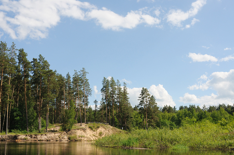 Окский заповедник напомнил туристам правила посещения