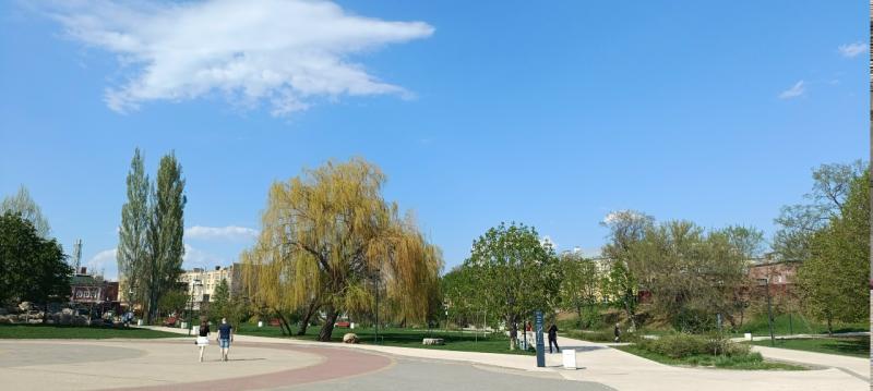 Рязанским выпускникам разрешили использовать иностранную песню для вальса