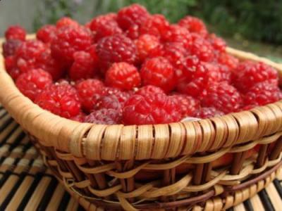 Рязанцам напоминают о фестивале малины