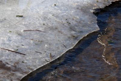 Рязанским рыбакам советуют дождаться крепких морозов