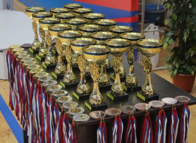 Рязанские дзюдоисты завоевали награды первенства ЦФО