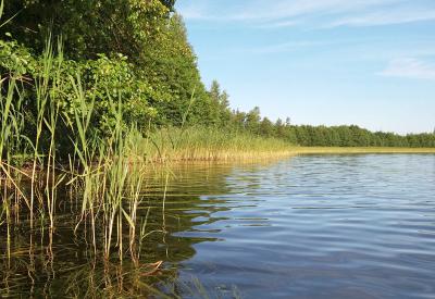 Ласковское и Уржинское озеро планируют открыть для массового отдыха после 12 июня