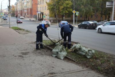 В Рязани высажено уже более 1200 саженцев