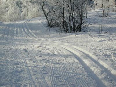 В Рязани проложат шесть лыжных трасс