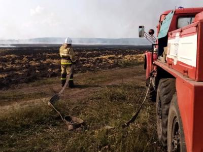 Пожар уничтожил поле с пшеницей в Рязанской области