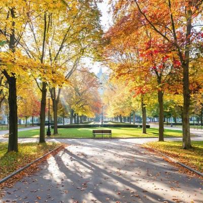 В Рязани состоится финальный осенний общегородской субботник