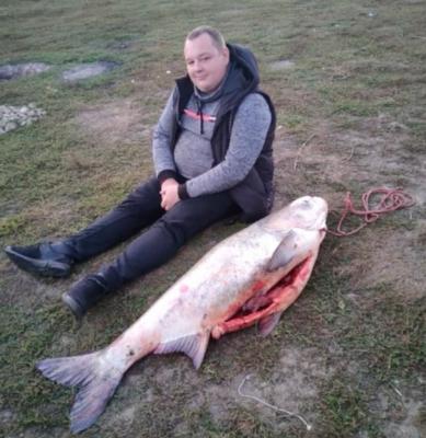 Рыбак выловил под Рязанью толстолобика весом 32 кило