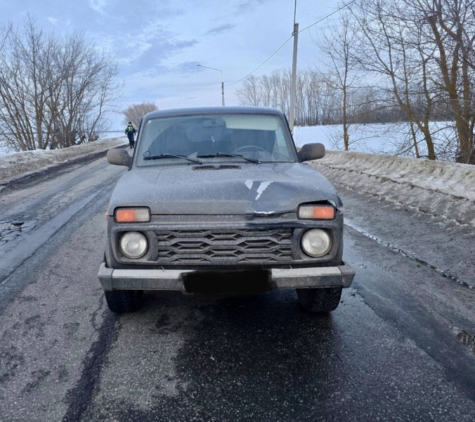 На трассе в Старожиловском округе «Нива» сбила девочку