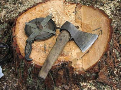 Сасовский чёрный лесоруб «заготовил» 70 кубометров древесины