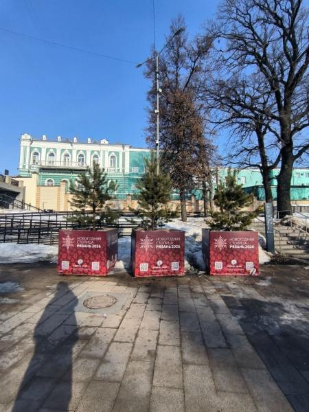 Новогодний декор с Лыбедского бульвара в Рязани уберут в ближайшее время