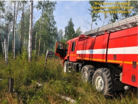 Лесной пожар в Кадомском районе ликвидирован