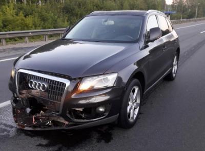 Под Рязанью Audi Q5 задавил неустановленного мужчину