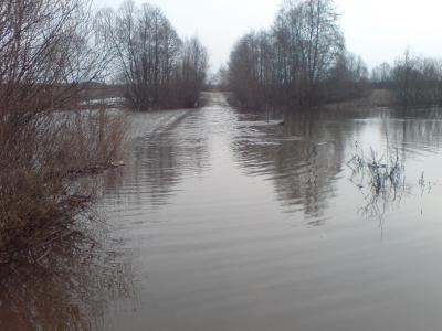 В Рязанской области из-за паводка затоплены 4 низководных моста