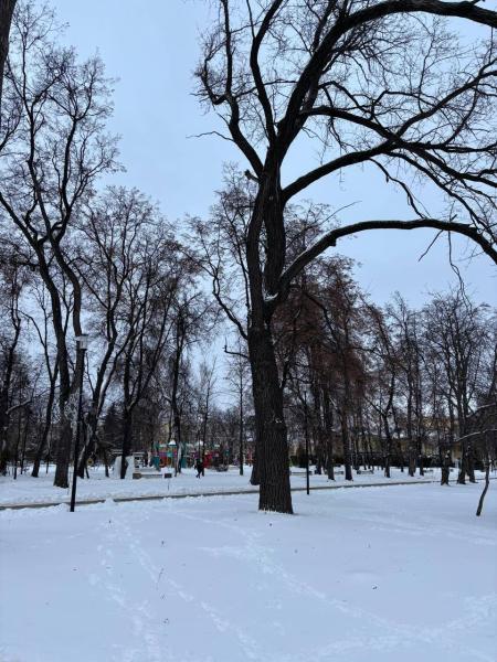 В Туме температура воздуха опустилась до -28 градусов