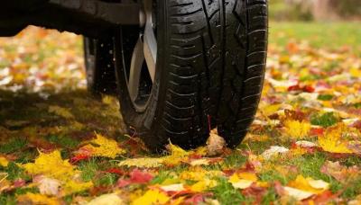 Рязгордума хочет увеличить штрафы за парковку на газонах