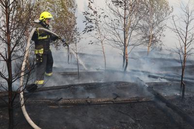 Лесной пожар в Рязанской области пошёл в сторону Брыкина Бора