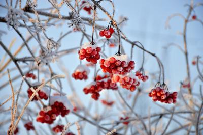 В Рязанской области на следующей неделе ожидается похолодание