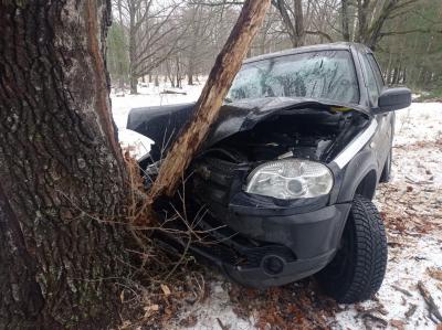 Под Ряжском Chevrolet Niva врезалась в дерево, госпитализированы два человека