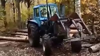 В Ермишинском районе задержали мужчину, незаконно валившего лес