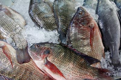 В Приокском продавали рыбу без документов