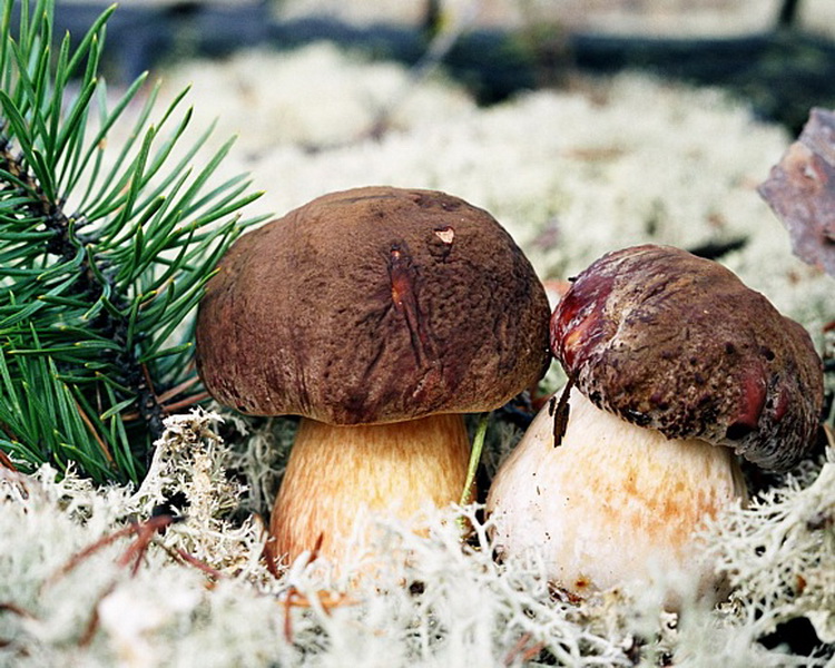 m_3416__580_no.jpg