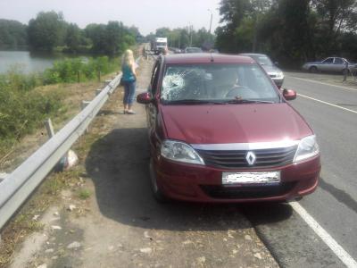 Renault Logan сбил пенсионера-нарушителя в Спасском районе