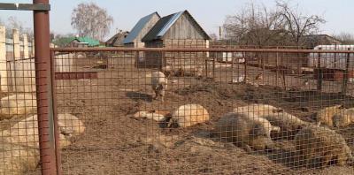 Жители Спасского района ополчились против фермера