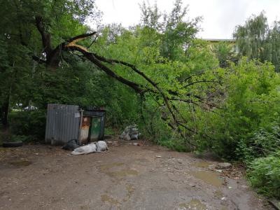 На улице Татарской в Рязани сломавшееся дерево перегородило проезд