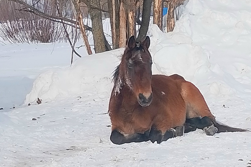 Фото: паблик «ШАЦК (18+)» в соцсети «ВКонтакте»