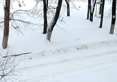 Снегопад 19 февраля принесёт в Рязань ещё 20 сантиметров снега