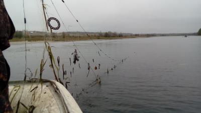 У рязанских браконьеров отобрали более шести километров сетей и две лодки