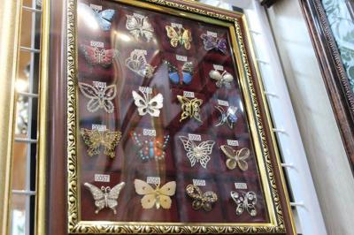 В Касимове открылся музей «Бабочек и стрекоз»