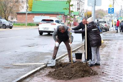 Рязань продолжат озеленять комплексно