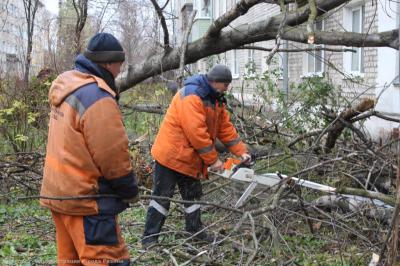 В Рязани продолжают ликвидировать последствия ураганного ветра