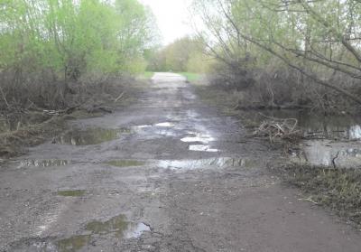 В Спасском районе «всплыл» мост