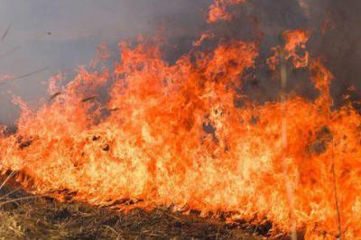 Рязанцев предупредили о чрезвычайной пожарной опасности