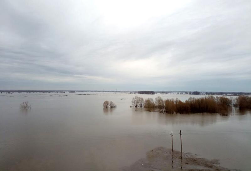 В Рязанской области уровень половодья ожидается выше нормы