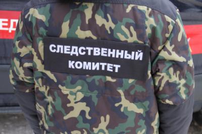 Жителя Сасовского района осудят за убийство собутыльника