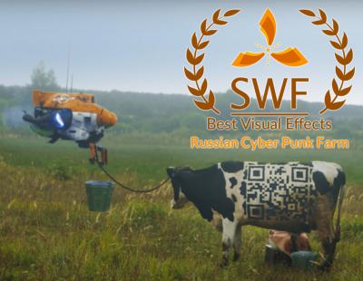 Русскую кибердеревню из Рязанской области оценили на иностранном фестивале
