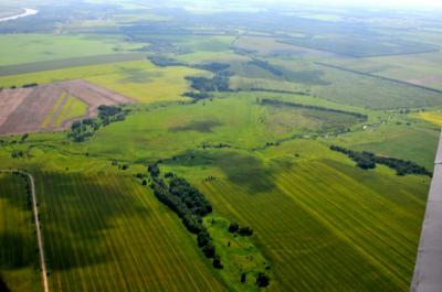 Авиаразведка не выявила лесных пожаров на Рязанщине