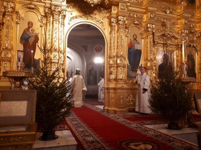 Митрополит Марк возглавит рождественскую литургию в Рязани