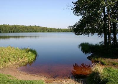 Купальный сезон на Ласковском озере откроют позже, чем обычно