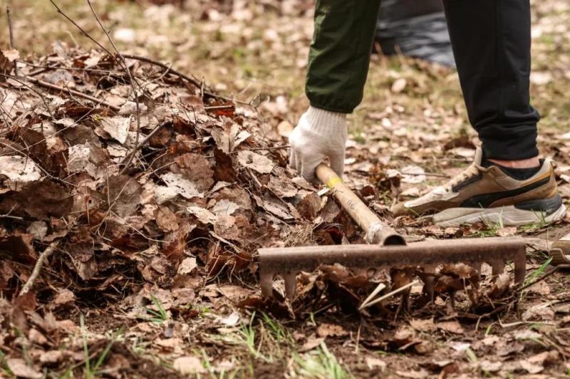 На субботниках в Рязани особое внимание уделят деструктивной рекламе 