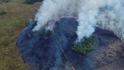 Близ Сасово сгорело 6,5 гектара сухой травы