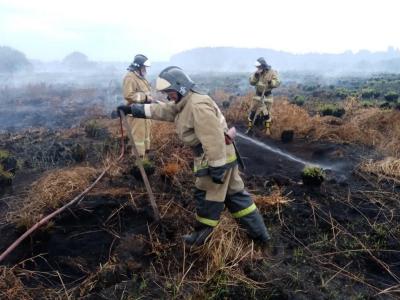В Сасовском районе ликвидируют сразу два крупных пожара
