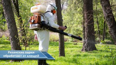 Парки Рязани обработают от клещей