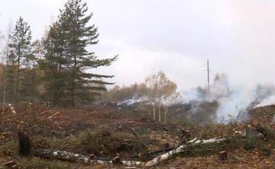 Жители Мурмино под Рязанью жалуются на горящую свалку